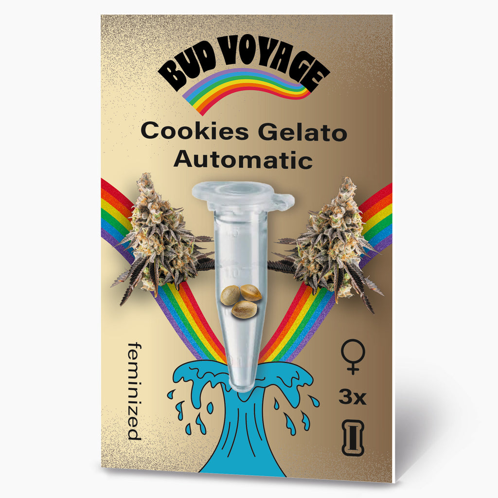 Bud Voyage Samensäckchen, zeigt Cookies Gelato Automatic Samen in einer Reagenzglas, umgeben von Regenbogen und einer blauen Welle, feminisierte Samen, drei Stück

